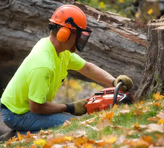 tree services Upton